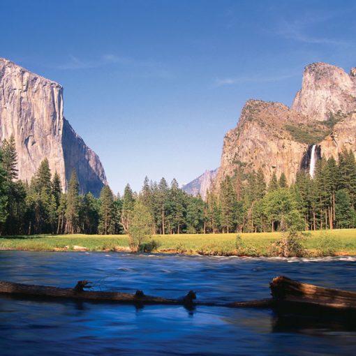 המטייל - יערות ארצות הברית