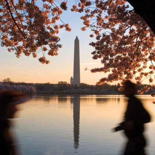 המטייל - וושינגטון