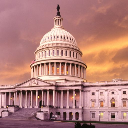 המטייל - גבעת הקפיטול