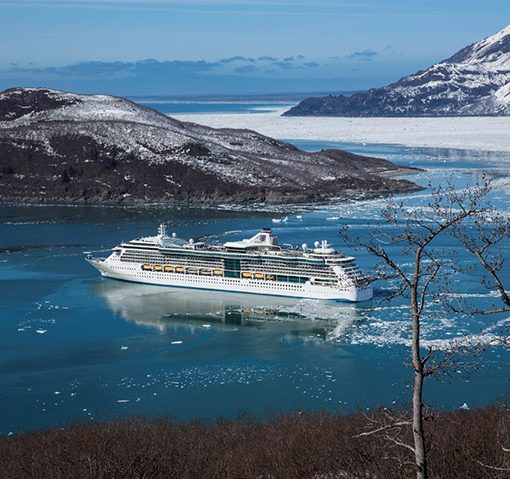 המטייל - קרוז אלסקה
